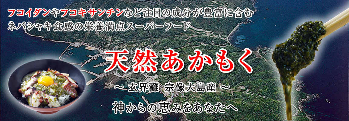 宗像大島 天然あかもく